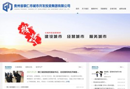 绥阳城市开发投资集团有限公司